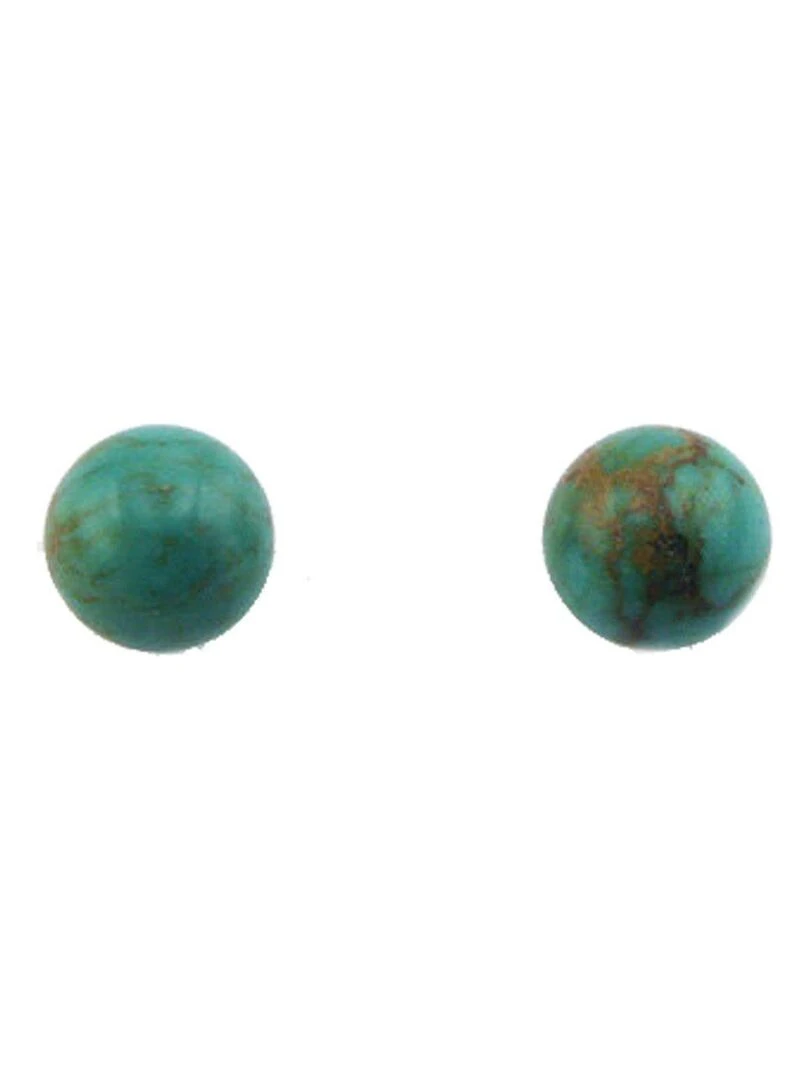 Boucles d'oreilles puces en argent Bijoucolor Argent