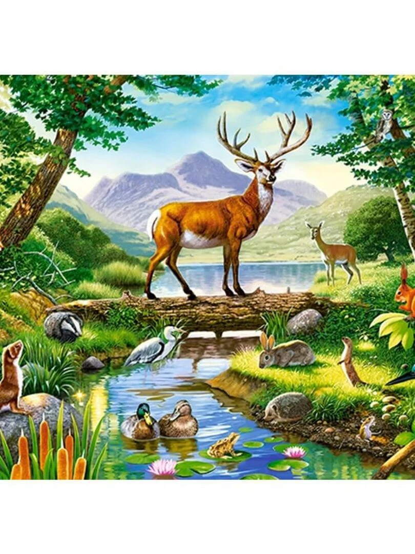 Puzzle 300 pièces : Harmonie dans les bois N/A