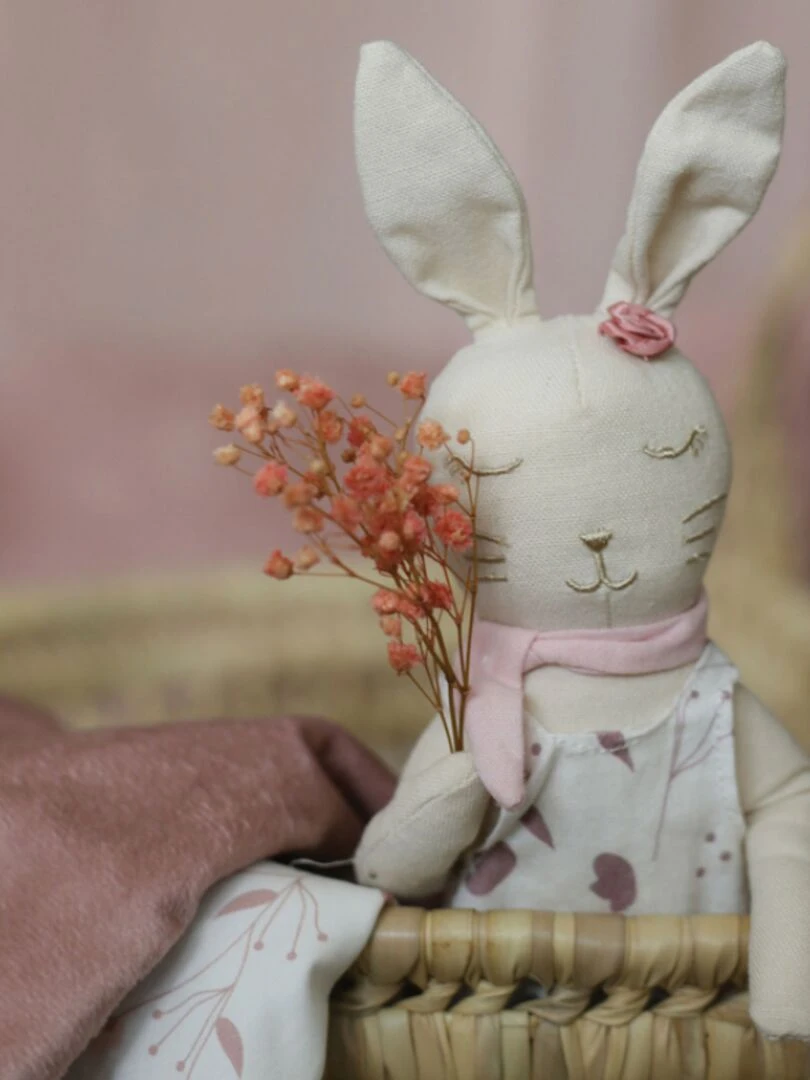Poupée Souple Lapin Lili (25 Cm)   N/A