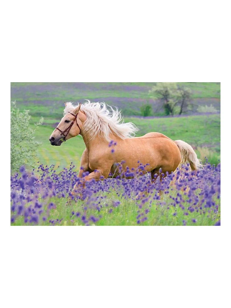 2x24p L'amour Des Chevaux N/A