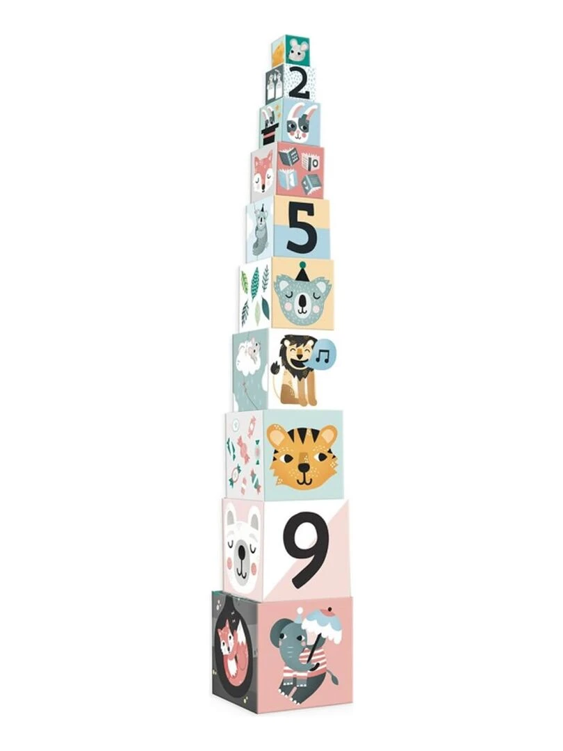 Cubes gigognes Les animaux Michelle Carlslund N/A
