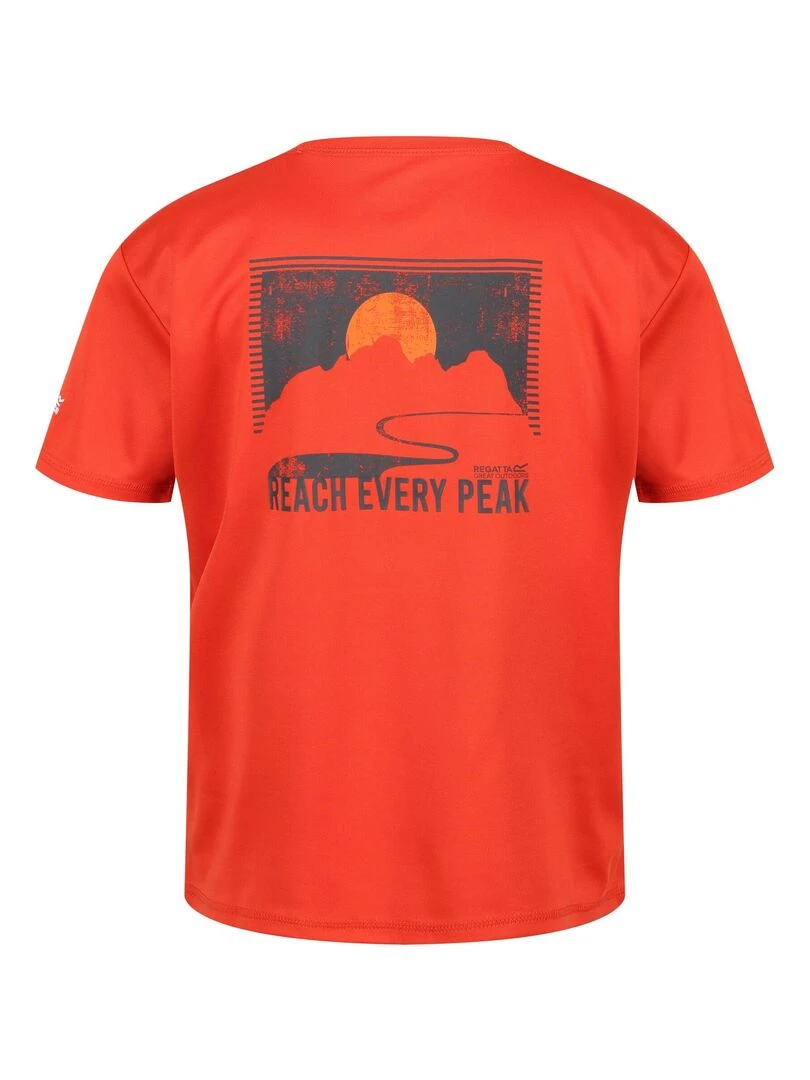 Regatta T shirt ALVARADO Rouge brique