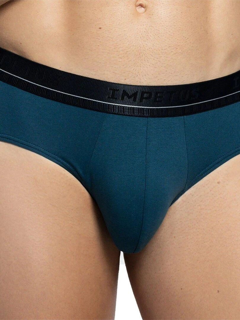 Lot de 2 slips en coton Simplon   Vert