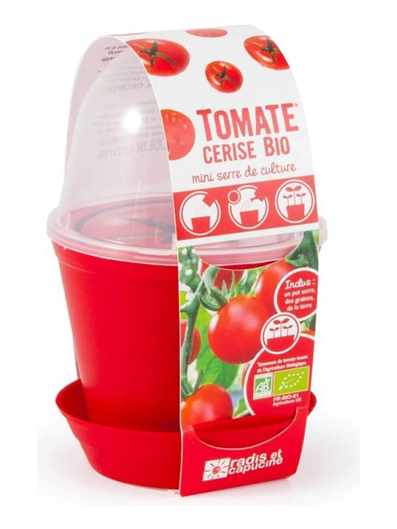 Kit de jardinage : Pot cloche Tomate cerise bio   N/A