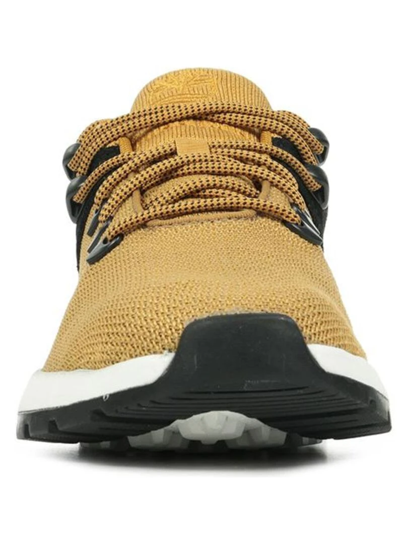 Baskets Timberland Sprint Trekr Low Knit   Marron