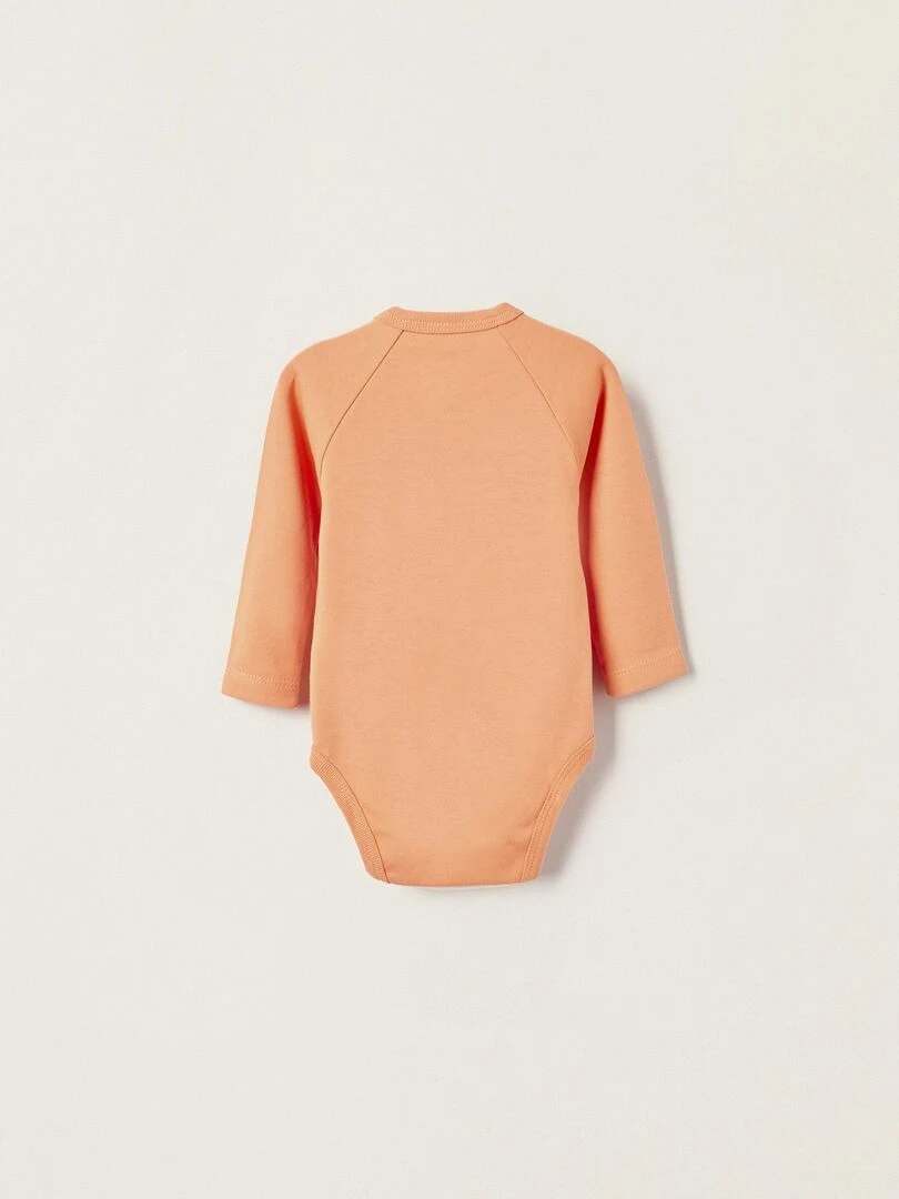 Pack 4 bodies en coton pour nouveau né et bébé garçon 'Animaux' manches longues ESSENTIALS LINE Multicolore