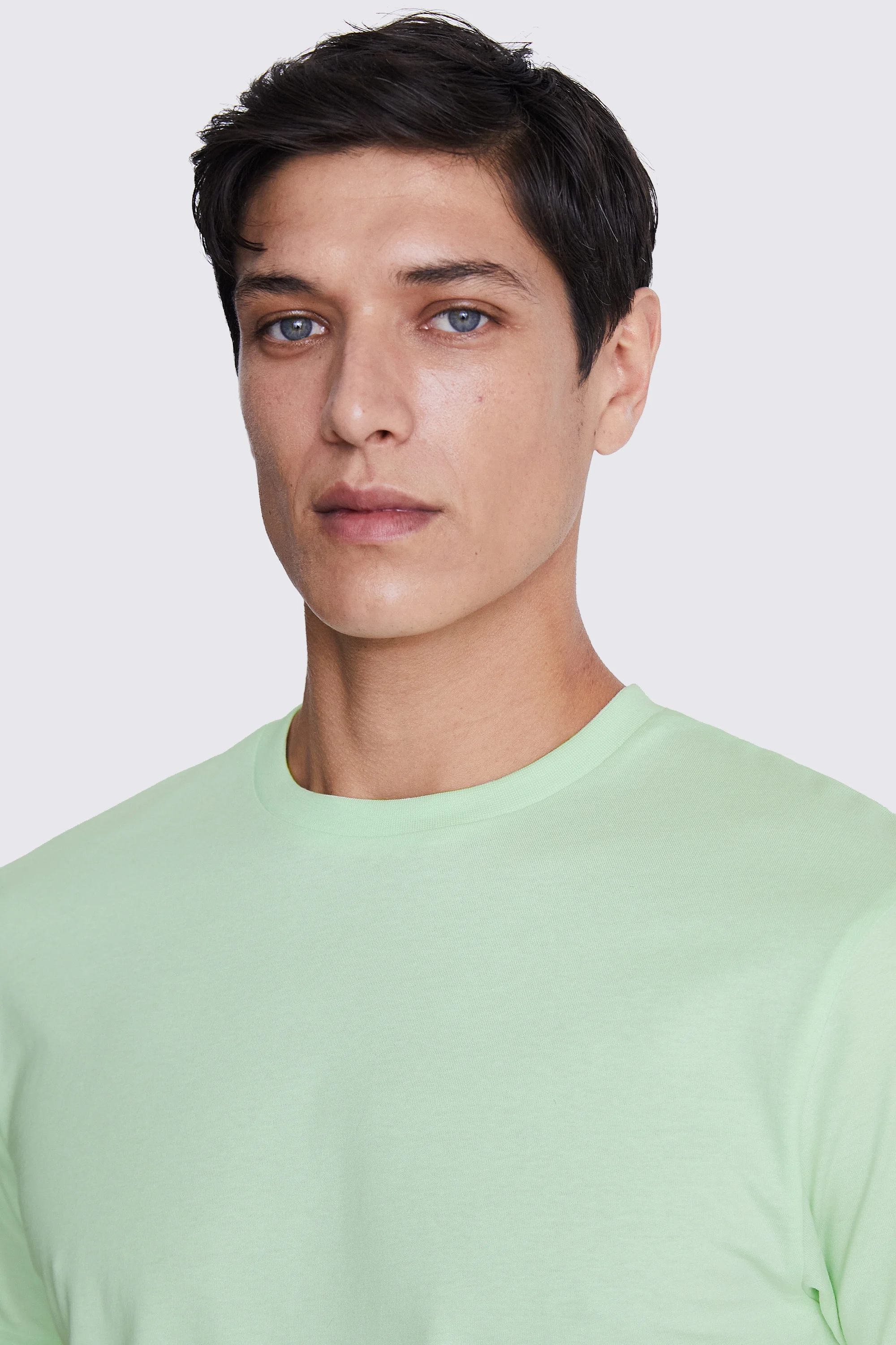 Sage Green Crew Neck T-Shirt   Buy Online at Moss