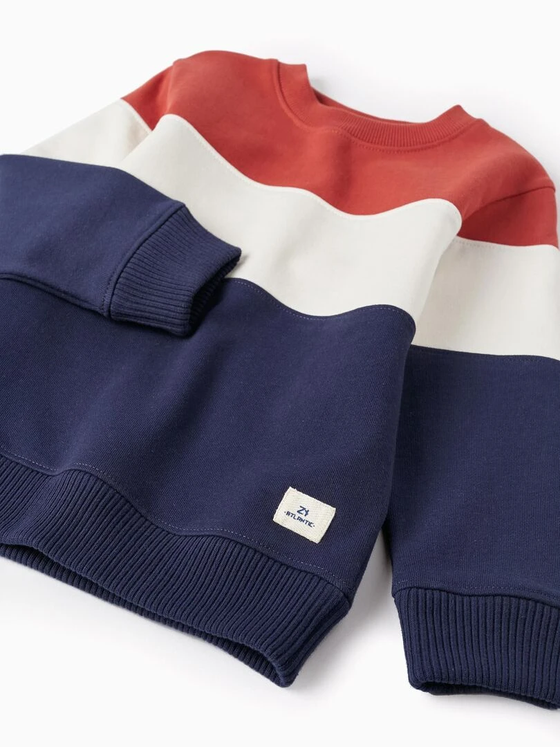 Sweat en coton pour garçon  ATLANTIC COMPANY   Bleu