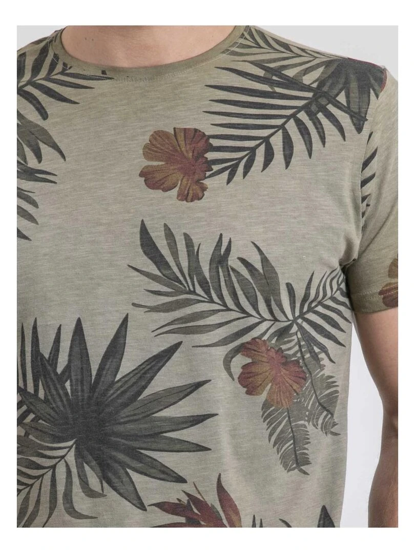 T shirt col rond pur coton NULOGAN   Kaki