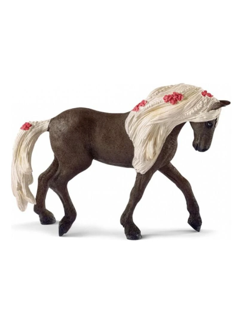 42469 Jument Rocky Mountain Horse Spectacle Equestre   N/A