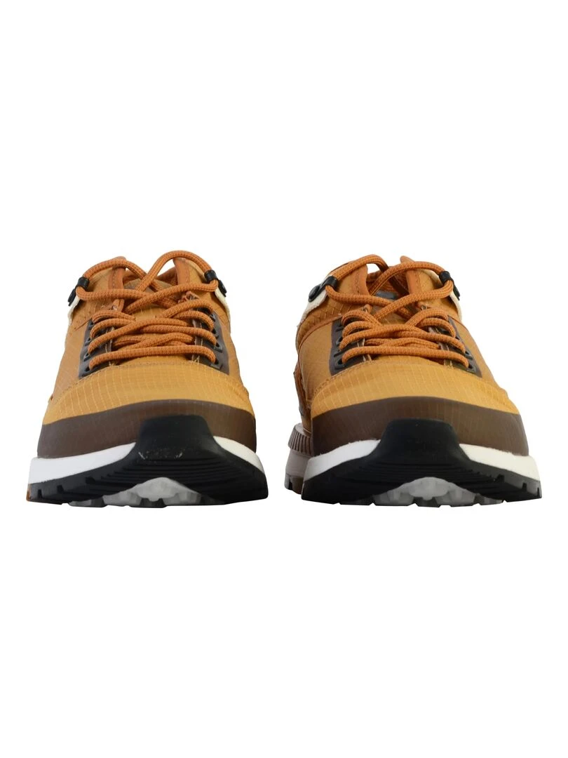 Basket Cuir Timberland Field Trekker Mid   Beige