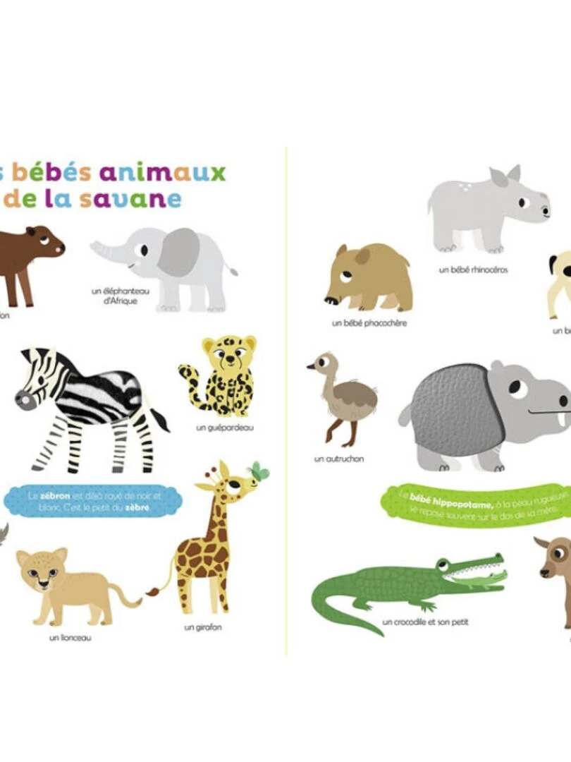 Livre Mes premiers bébés animaux à toucher N/A