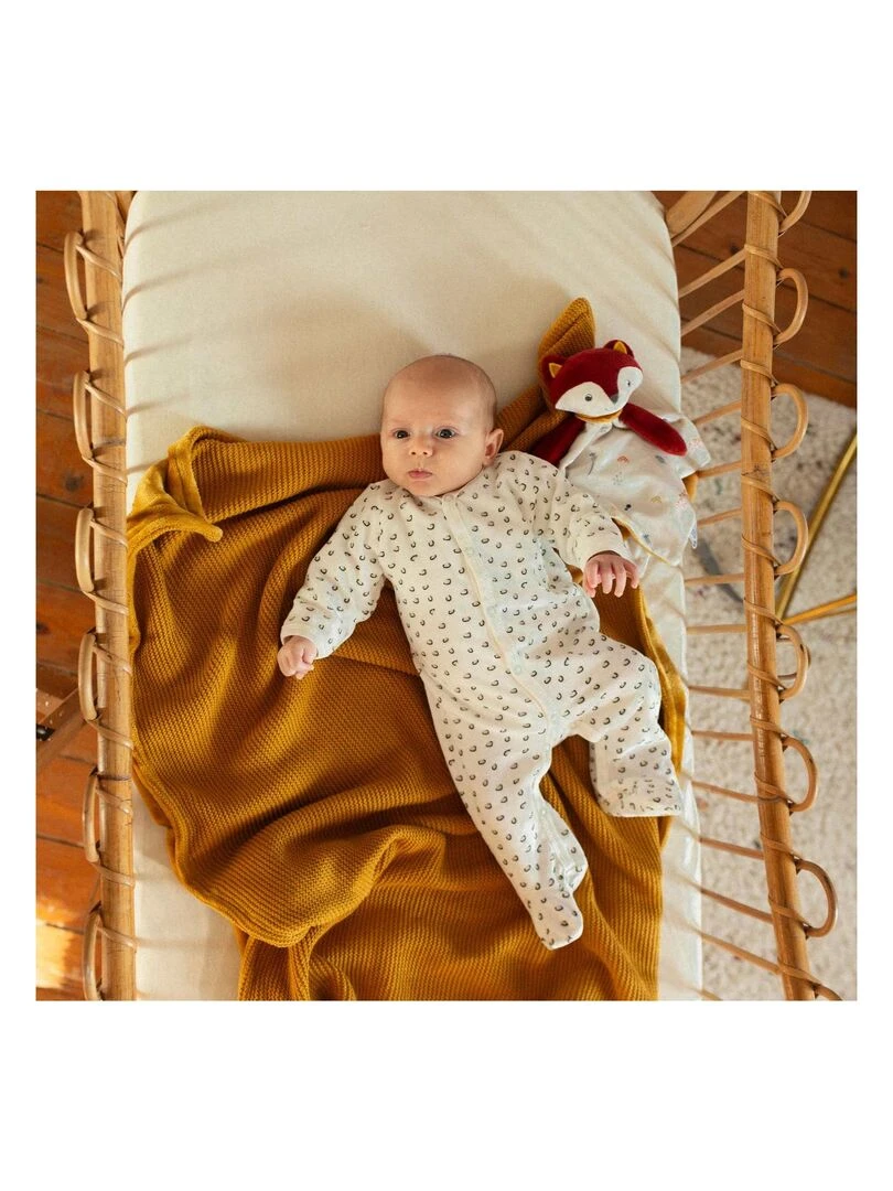 Lot de 2 pyjamas Marron clair