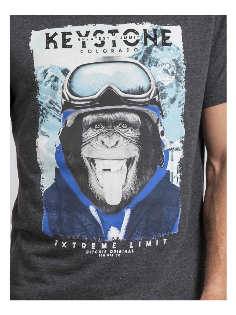 T shirt col rond pur coton JACOSKI   Gris foncé