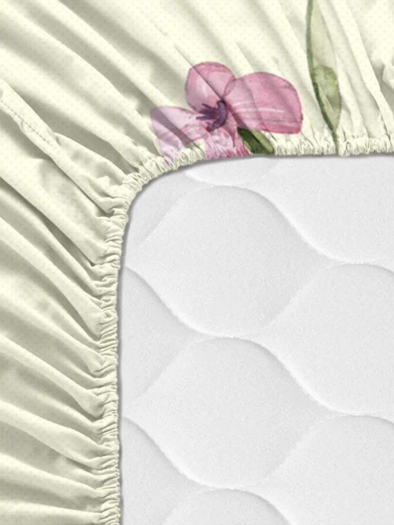 Drap housse Manarola "Happyfriday"   Blanc