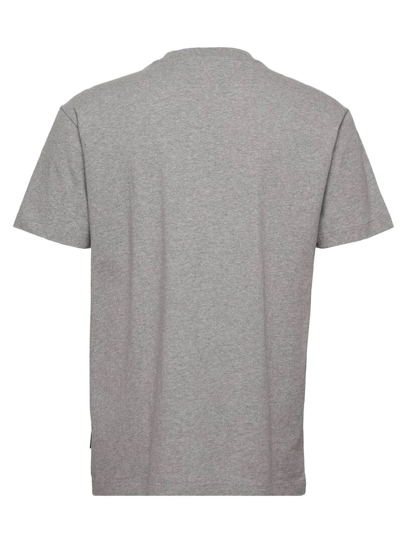 Tee Shirt Napapijri S Box SS 3   Gris