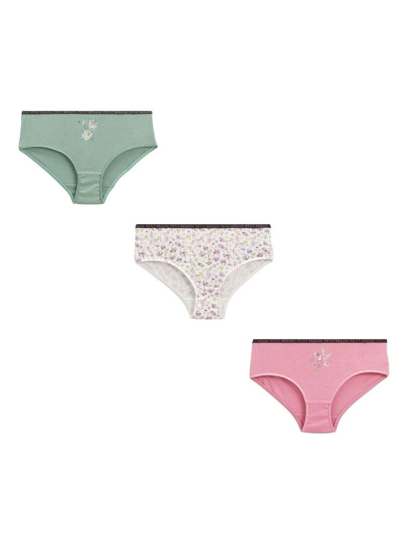 Lot de 3 culottes fille Violet toucan Kaki
