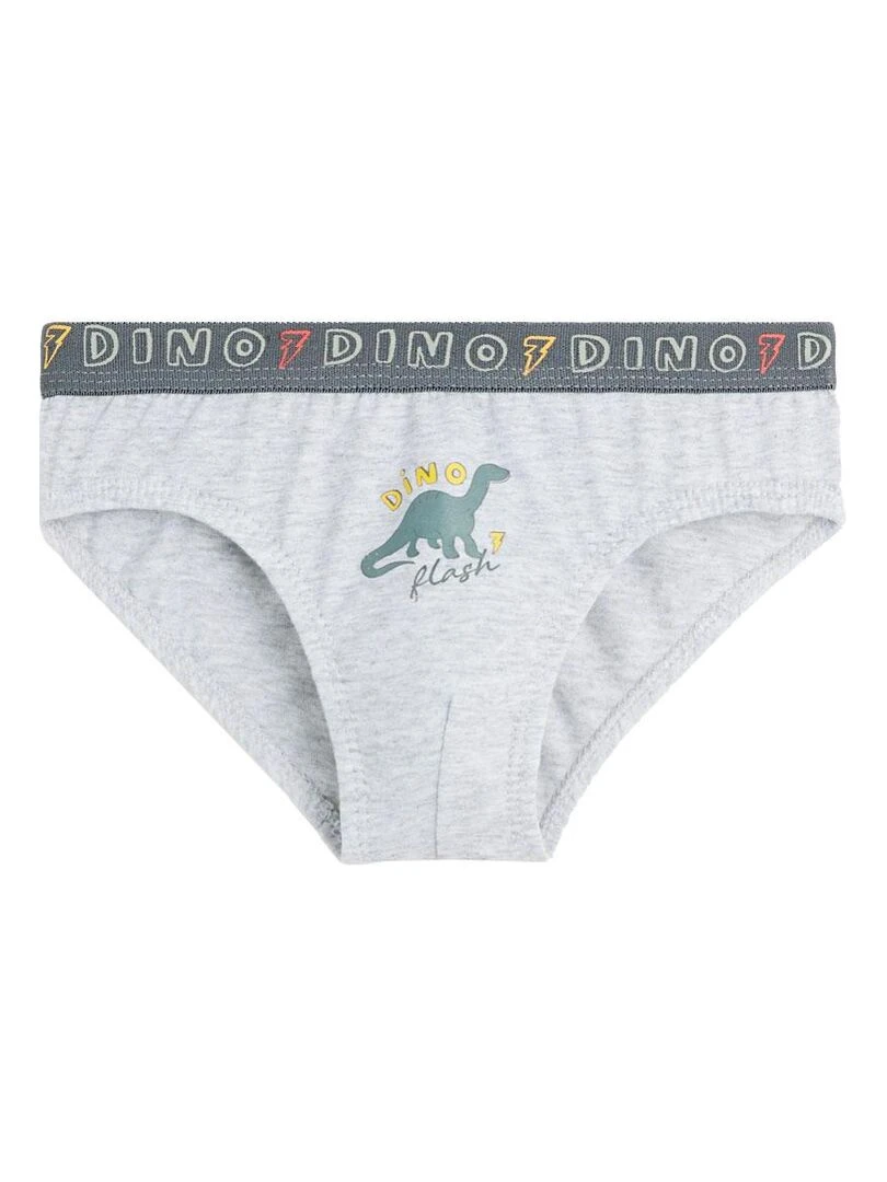 Lot de 3 slips garçon Tadam Gris