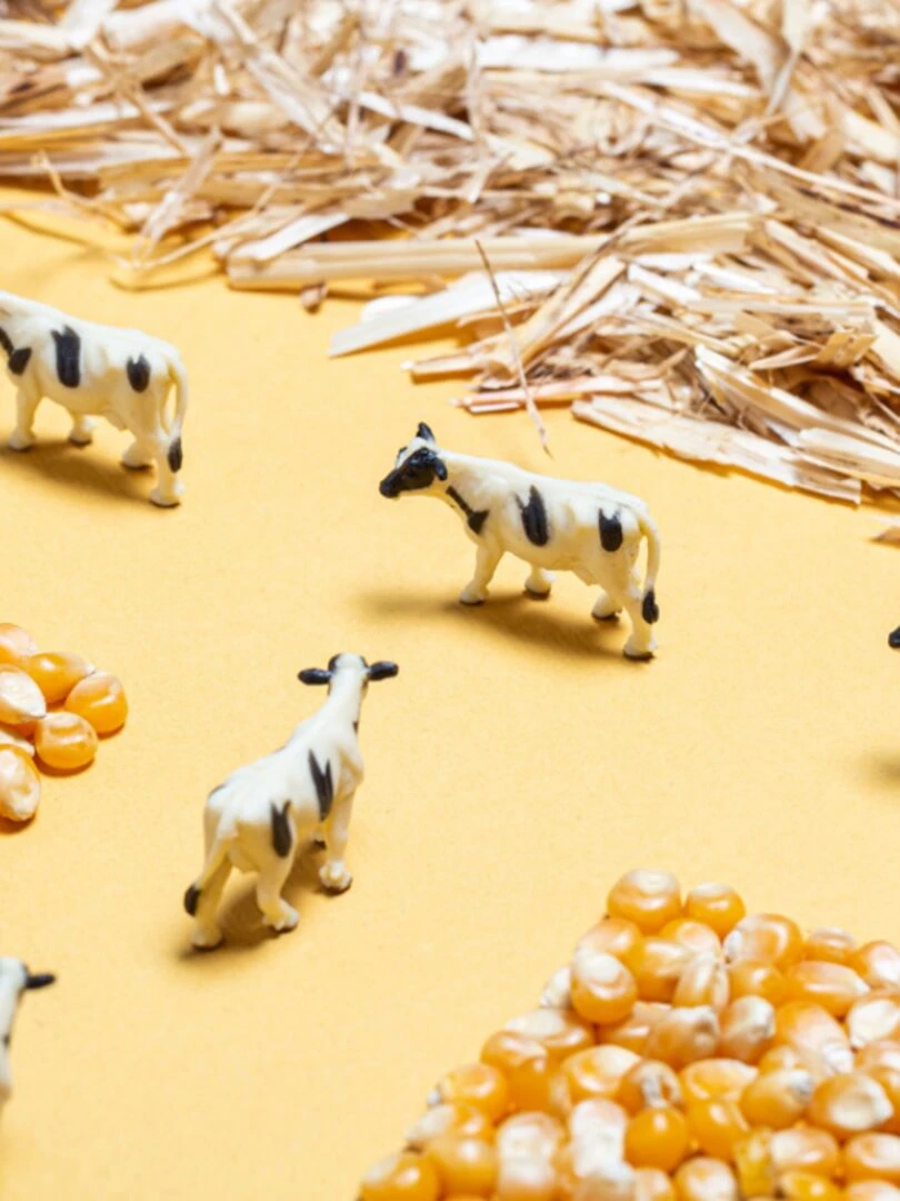 Bouteille Sensorielle Spy Ferme   N/A