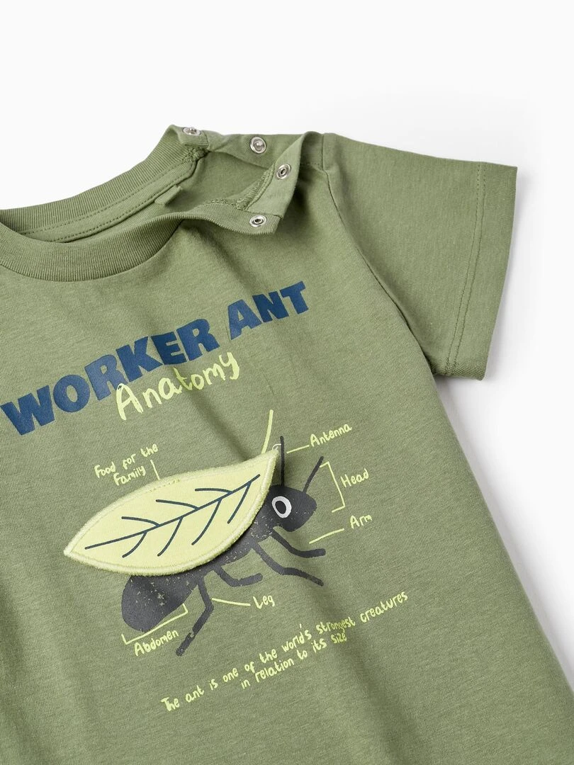 T shirt à manches courtes avec feuille en relief pour bébé garçon manches courtes NATURE TAKEOVER   Vert