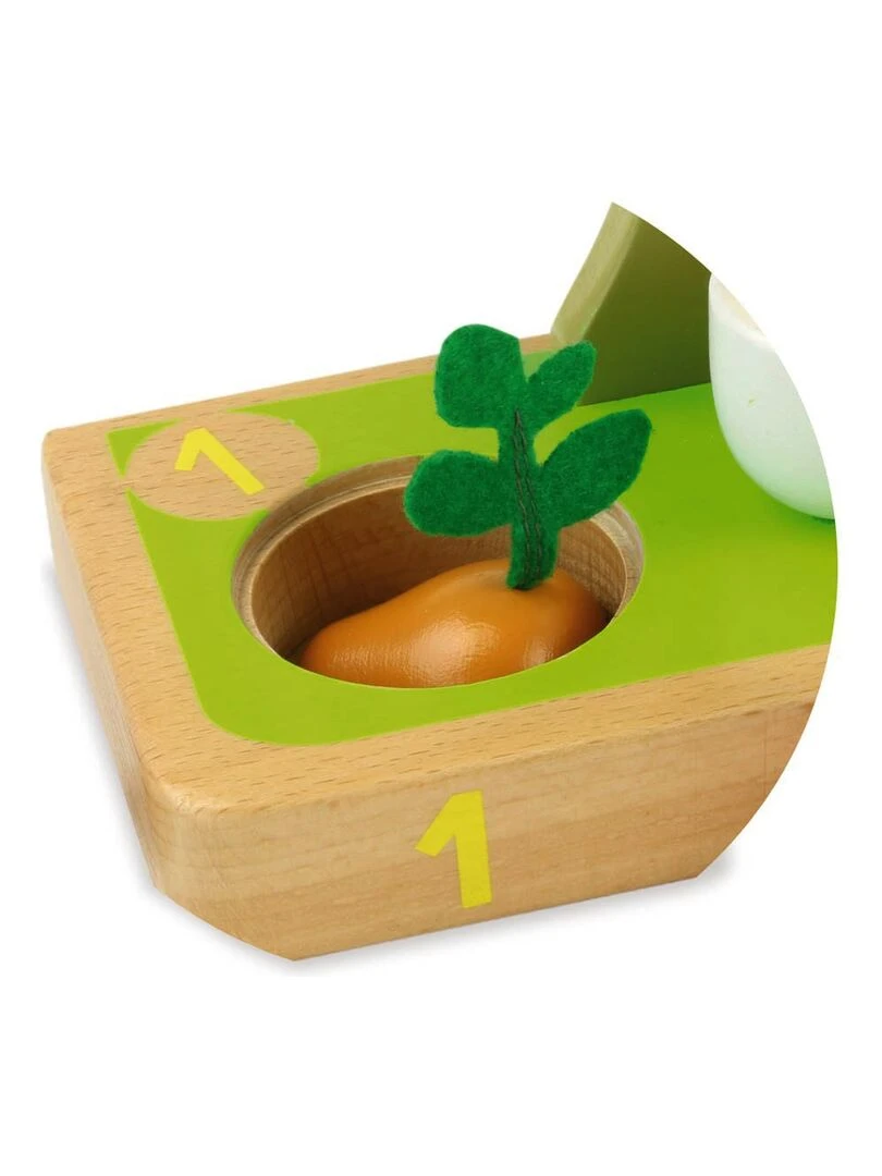 J'apprends à compter les légumes   N/A
