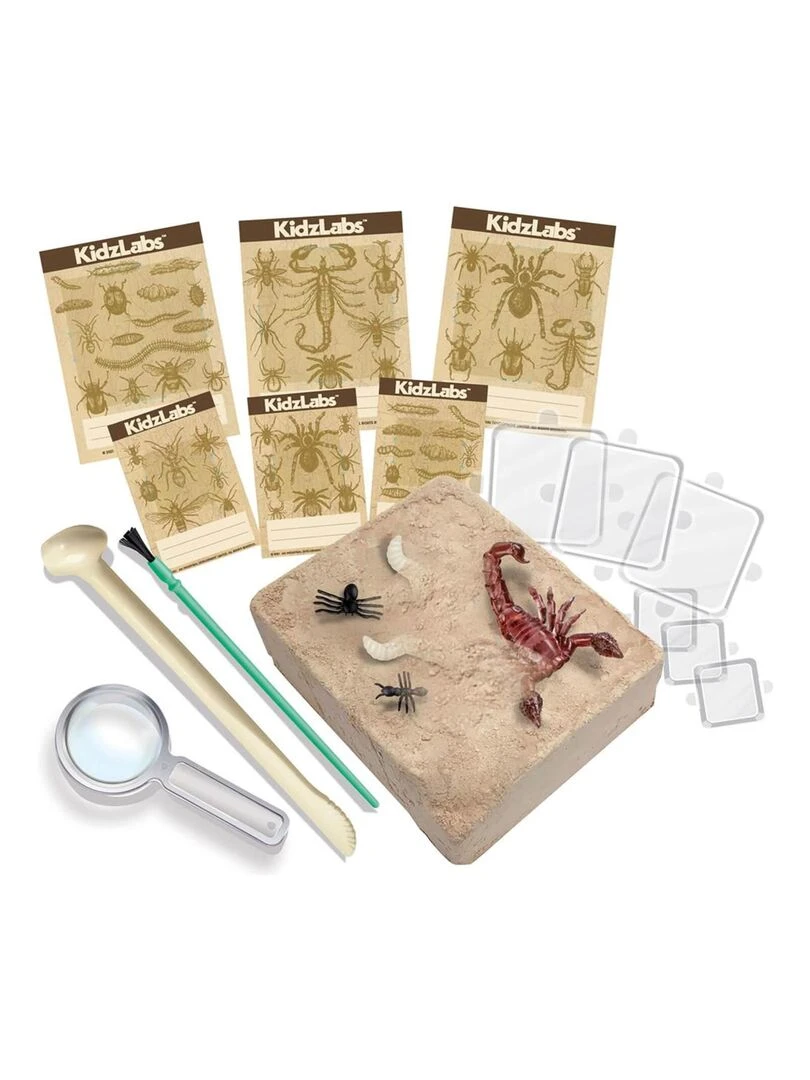 Kit Découverte de la Science Déterre Les Insectes N/A