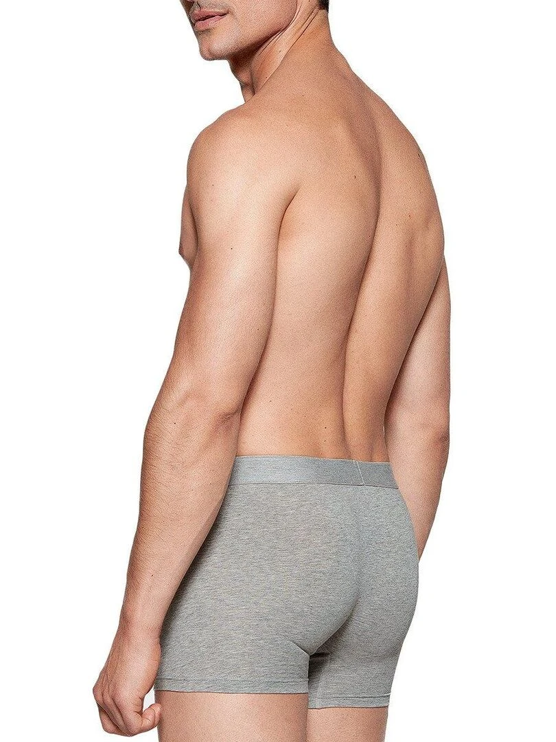 Boxer coton Executive   Gris