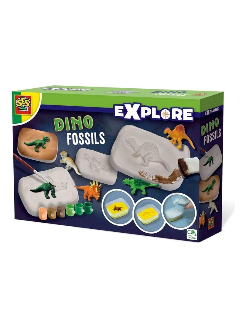 Coffret Explore : Fossiles de dinosaures N/A