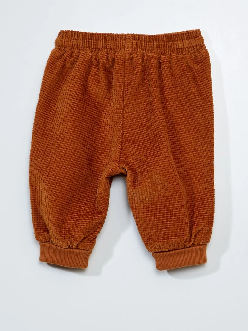 Pantalon jogger en velours Toujours + confortable Marron