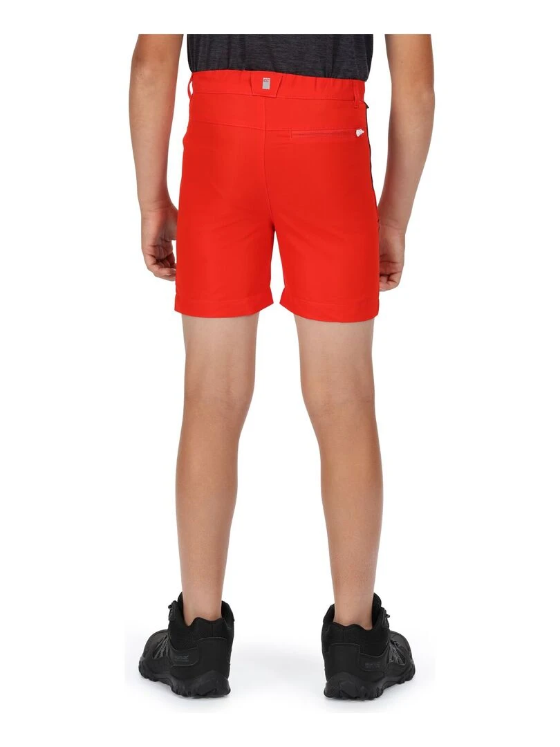 Regatta   Short SORCER   Rouge foncé