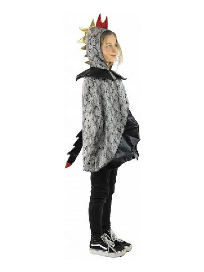 cape de dragon de luxe enfant Multicolore