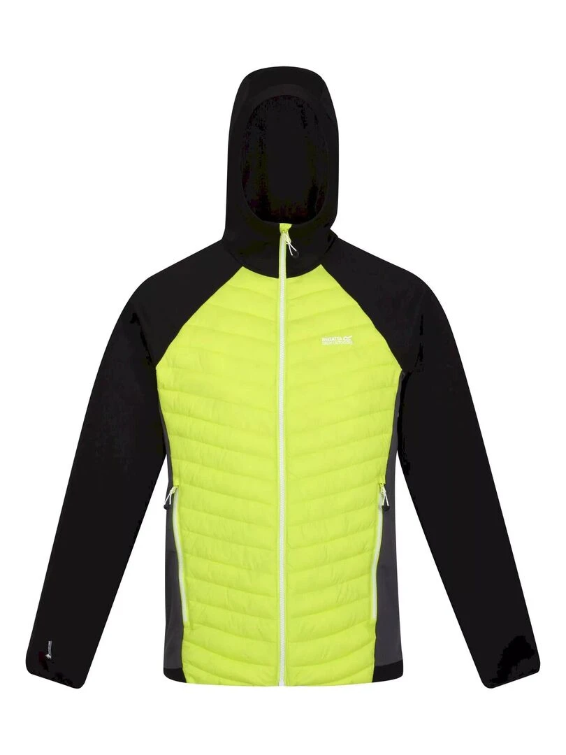 Regatta Veste ANDRESON HYBRID Gris Vert