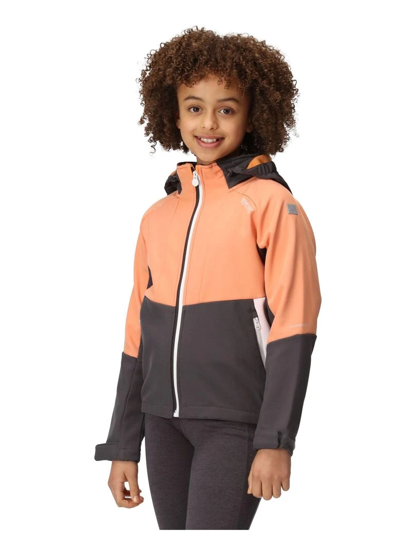 Regatta   Veste softshell HAYDENBURY   Gris Orange