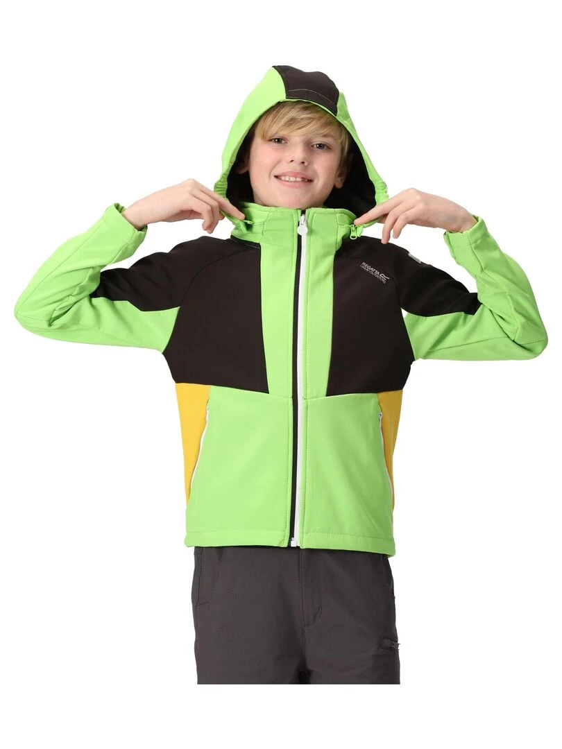 Regatta   Veste softshell HAYDENBURY   Vert clair