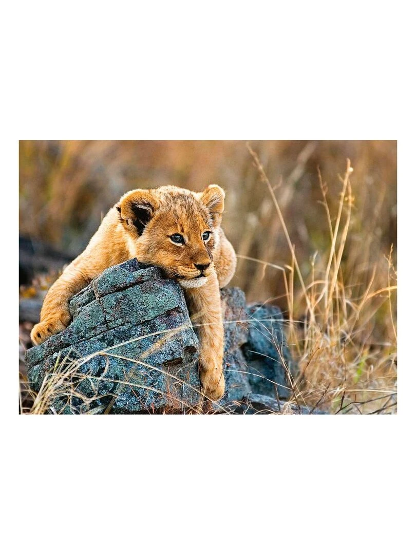 Puzzle 200 p XXL Le petit lionceau N/A