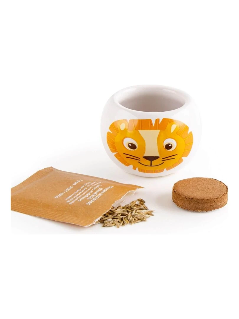 Kit jardinage : céramique Lion   N/A