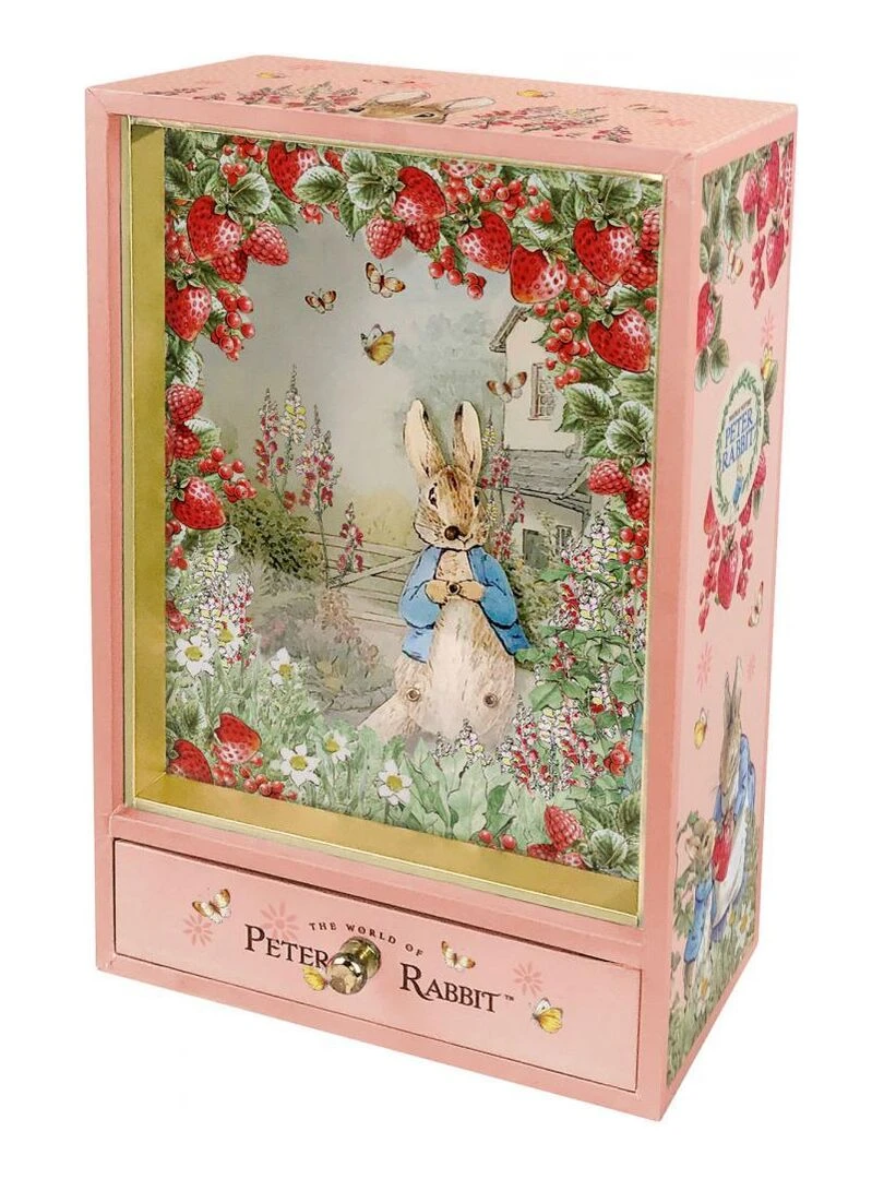Grand Dancing Musical & Veilleuse Peter Rabbit© Fraises N/A