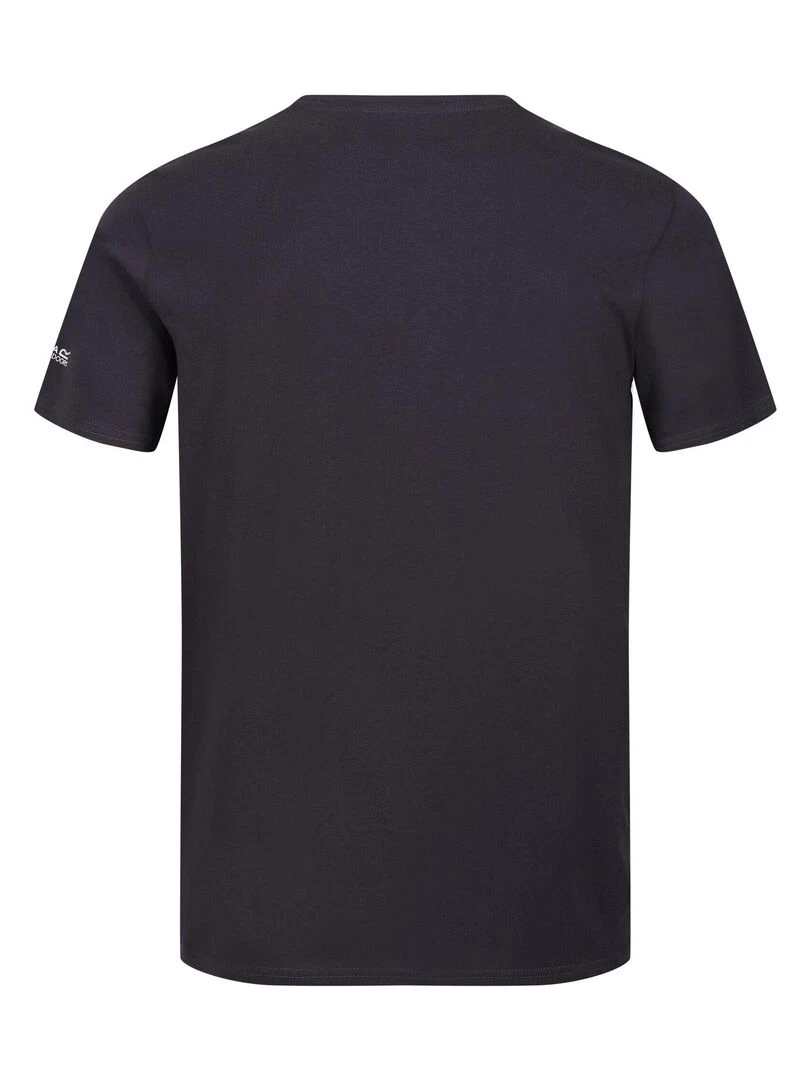 Regatta   T shirt BREEZED ABOVE IT ALL   Gris foncé