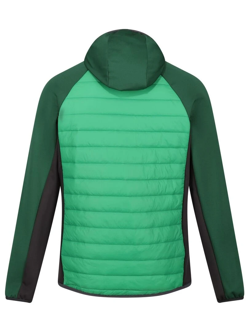 Regatta Veste hybride ANDRESON Vert