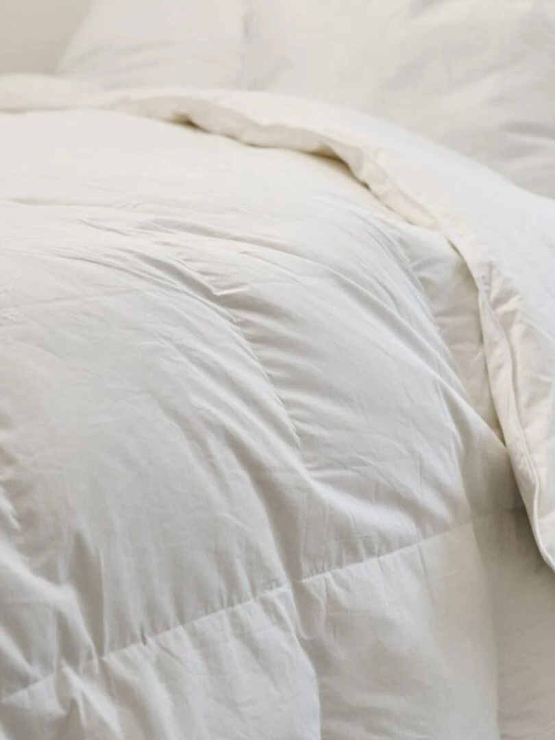Bleu Câlin   Couette Duvet été légère et gonflante   90% Duvet de Canard   Blanc