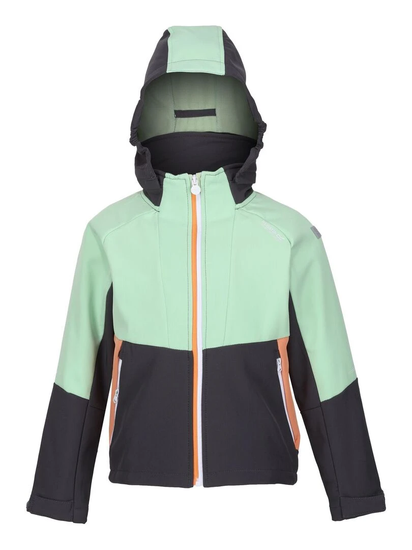 Regatta Veste softshell HAYDENBURY Gris Vert