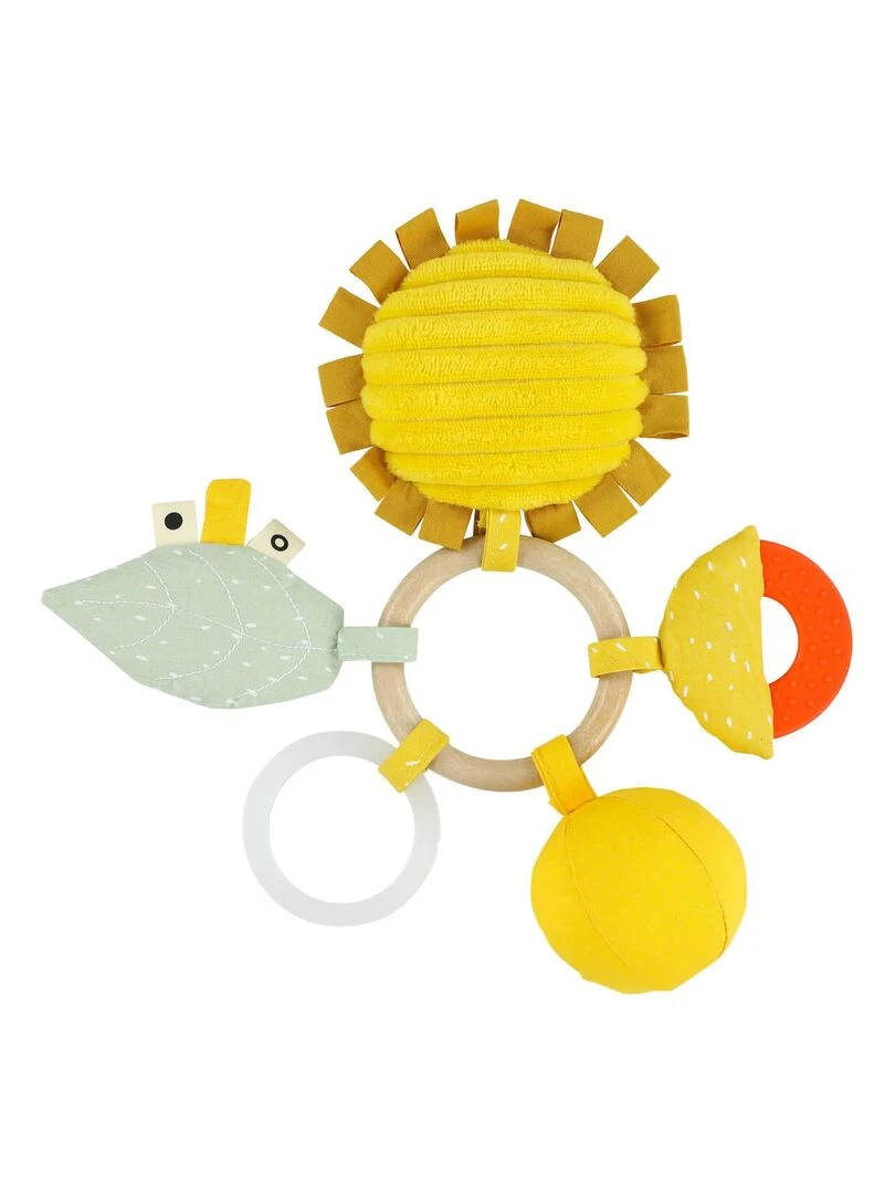 Anneau d'activités Mr. Lion Multicolore