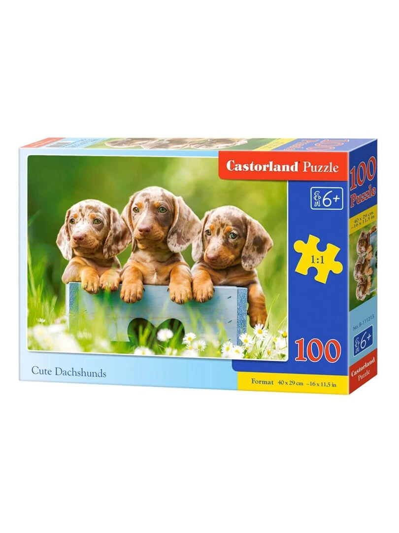 Puzzle 100 pièces : Mignons teckels N/A