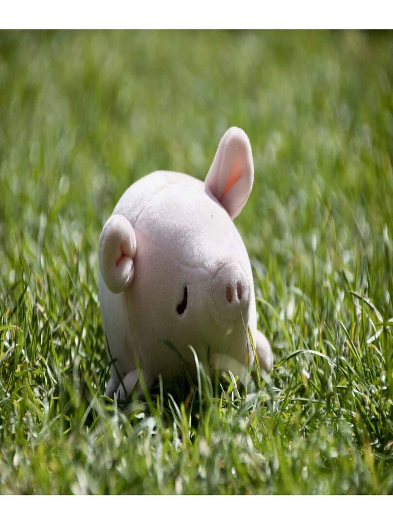 Pinkie le Cochon   Taille S   Multicolore