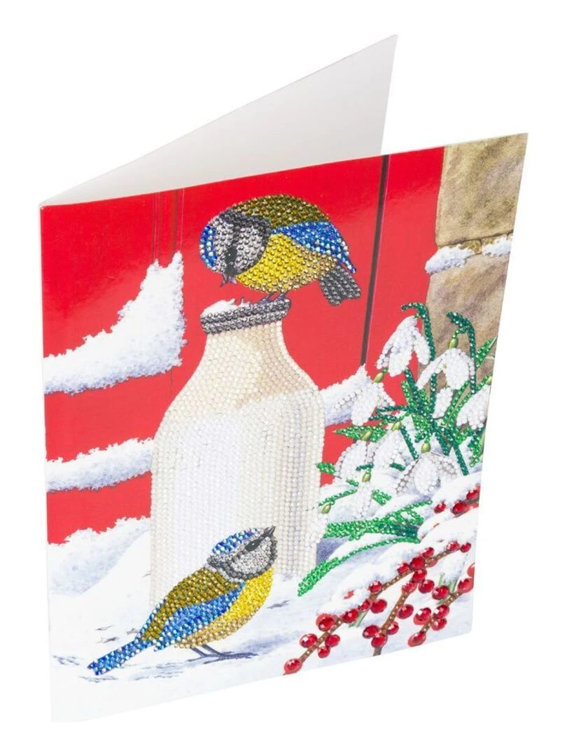 Carte Crystal Art à diamanter Oiseaux sur la neige 29 x 21 cm N/A