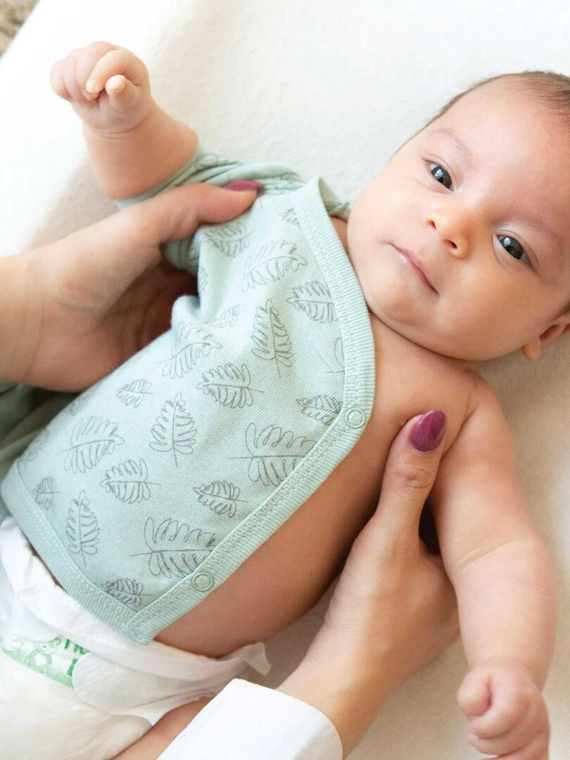 Bodies manches courtes   Vert