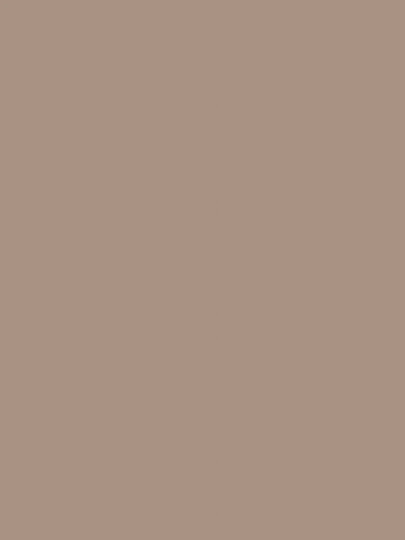 Peinture acrylique opaque mate Cendre brune 45 ml N/A