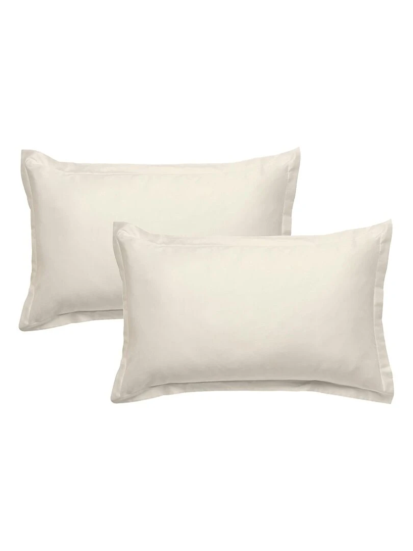 Future Home Taie d'oreiller en coton 57 fils unie beige ivoire Beige