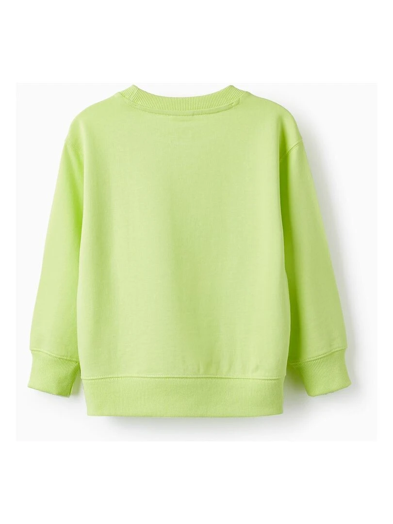 Pull en coton pour garçon 'Seeds of the Future' NATURE TAKEOVER Vert clair