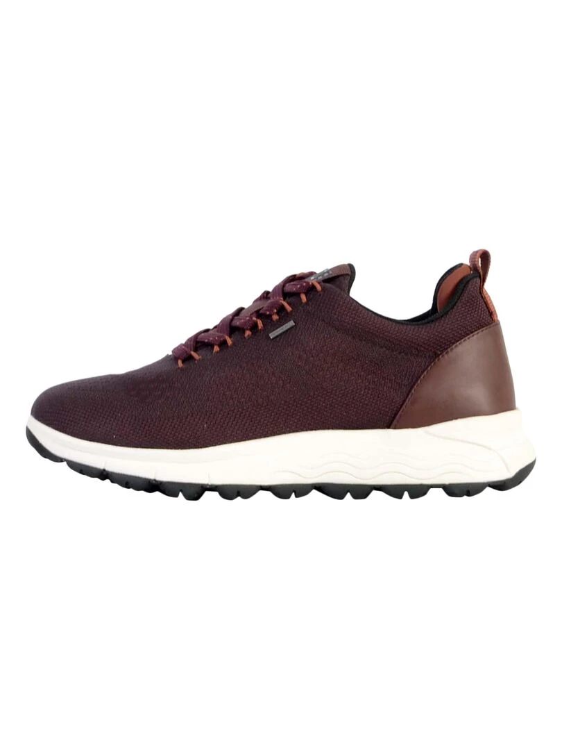 Basket Cuir Geox Spherica Violet